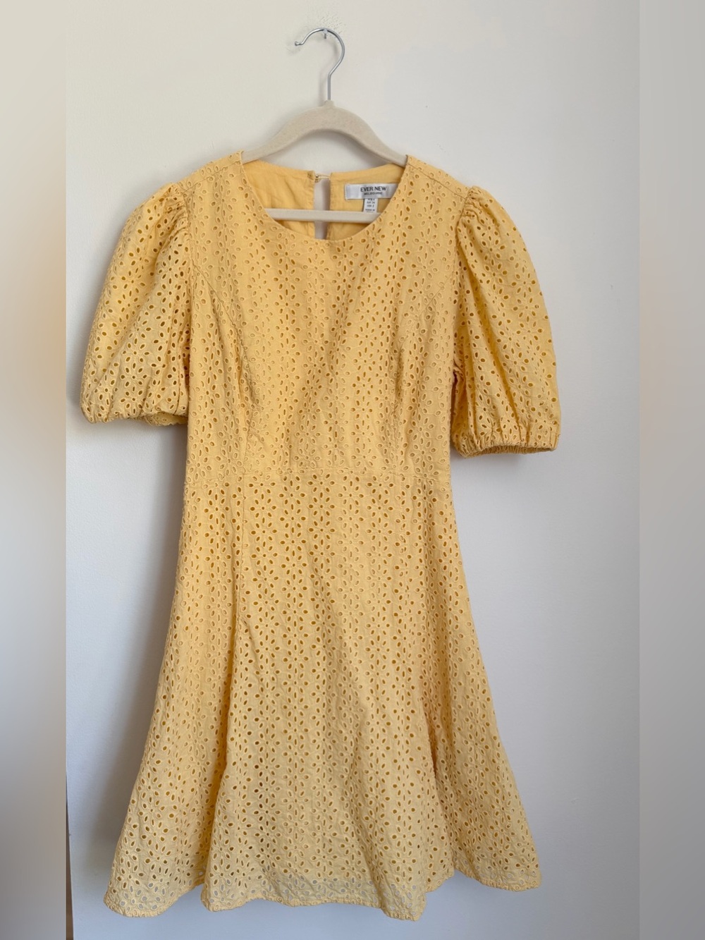 Ever New Jenny Broderie Mini Dress (Size 2)